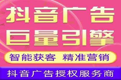 SEM公司案例研究：数据驱动营销策略